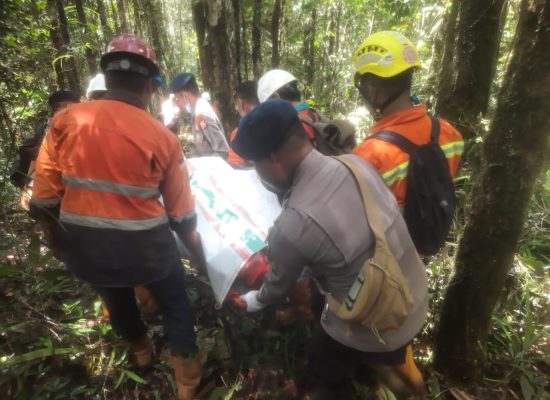 Kronologi Penemuan Korban Kecelekaan Heli Bell 429 PK-WSW di Hutan Halmahera